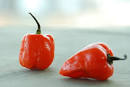 Food Blogga: Habaneros Are Hot