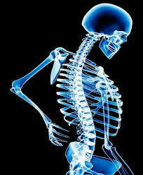 Calcium and Your Bones