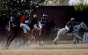 Chinese tycoon Xia Yang inspired by Prince Charles to restore polo ...