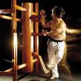 Wing Chun Wooden Dummy, Wing Tsun, Martial Arts Training Equipment