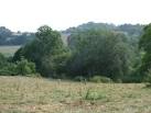 Farmland suffering from a summer of drought - via Daymix