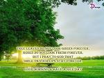 Tree Lraves Do Not Look Green Forever,Roses Do Not Fresh Forever ...