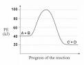 Potential Energy Diagrams