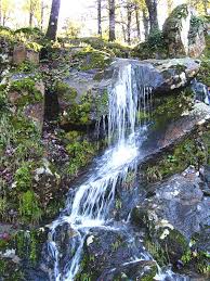 Renouveler son �quipe