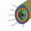 Coelom - Wikipedia, the free encyclopedia