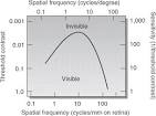 <b>Contrast sensitivity</b> function