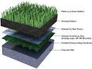 One Roof, Two Roofs, Green Roofs, Blue Roofs | Intercon