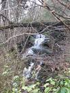 power a modest hydroelectric turbine SH7504 : Water turbine house, CAT . - via Daymix