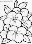 Flowers coloring page