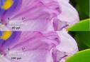 Adobe - Photoshop CS5 tutorial : Key concept: Resolution