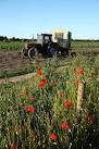 Roadside poppies and an idle potato riddler on a warm summer evening near - via Daymix