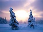Winter Preparedness