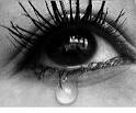 http://t1.gstatic.com/images?q=tbn:ANd9GcRJc-PUkhhr0AyeU_S_6MaacJSDP7qlAwKkUv4yB2GAaxGUTQKIINDb0A