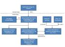 APOLLO SOLAR ENERGY, INC. - FORM 10-K - May 16, 2012