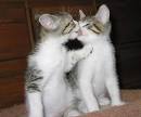 It is love's way of touching