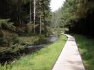 SN8587 : Forest Walk, Hafren - via Daymix