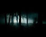 darkness forest