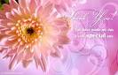 Chrysanthemum Day