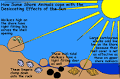 Dessication and Air Temperature - LOARS