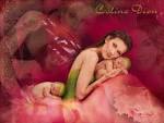 Celine Dion - Celine Dion Wallpaper (43982) - Fanpop fanclubs