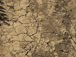 external image images?q=tbn:ANd9GcRKHD41lesI_BVPMRxDWfHyLncS6sieGCihELugkCMQLf769XzX