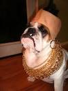 http://cdn.shopify.com/s/files/1/0024/6862/files/hal-mrt-dog.jpg