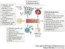 Figure 2 : Immunological mechanisms of allergen-specific ...