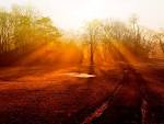 Compelled by Love: Painful Loneliness