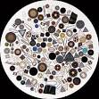 Diatom - Wikipedia, the free encyclopedia
