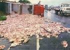 Truck Spills - Chicken parts