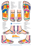  ** Reflexology Special Offer **