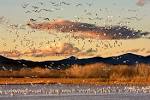 About the Refuge System and FWS » National Wildlife Refuge Association