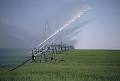 Irrigation - Wikipedia, the free encyclopedia