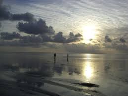 St. Peter Ording Strand 2 - Bild \u0026amp; Foto von Jan Philip Hansen aus ... - 11237858