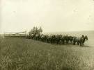 From Our Corner    Blog Archive    Check out Prosser Heritage