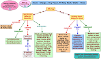 Zoom-Allergy-Hay Fever-Itching Rash-