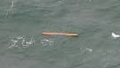 AirAsia flight QZ8501: Debris resembling plane parts spotted as.