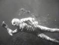 Creature from black lagoon