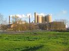 animal feed, molasses, - via Daymix