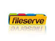 FILESERVE Premium Account Cookies 26 December 2011 » TeckStore