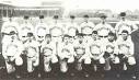 TheDeadballEra.com :: BAD TO THE BONE: THE CLEVELAND SPIDERS