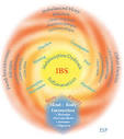Information for women on causes and natural treatment of IBS