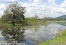 Freshwater lake at Giritale Village Photos, Freshwater lake at ...