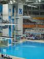 Diving at the 2004 Summer Olympics - Wikipedia, the free encyclopedia