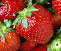 The NC STRAWBERRY FESTIVAL