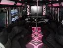 Chicago Charter Bus Fleet, Party Bus Rental in Chicago Illinois.