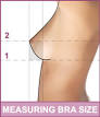 bra sizejpg