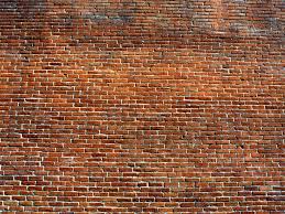 images?q=tbn:ANd9GcRO1ZJtGvDWSPv6w2XY7OXY0TRJFzBQYKh4vo8K2a5v6HNnmL3tgMOyk67r