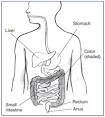 Irritable Bowel Syndrome - National Digestive Diseases Information ...