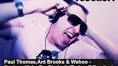 Paul Thomas,Ant Brooks & Wahoo - Pavlova Make Em Shake It (Todoroff Bootleg) ... - mqdefault